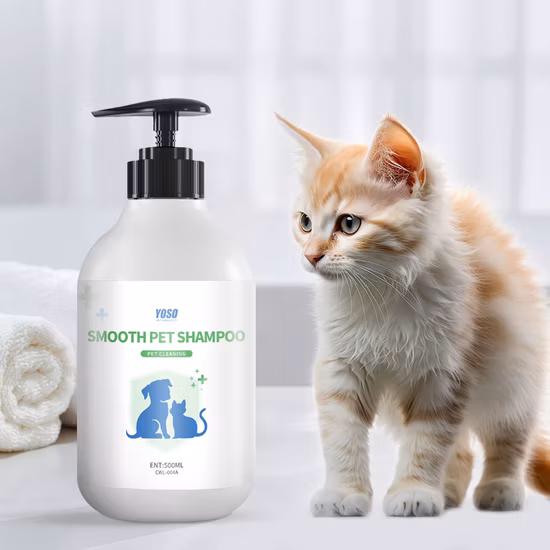 트리시티 사람들을 위한 진생 샴푸 500ml